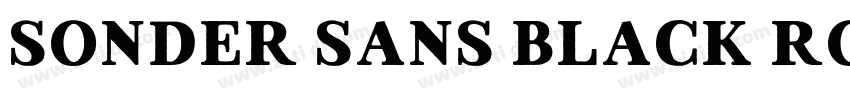 Sonder Sans Black Ro字体转换